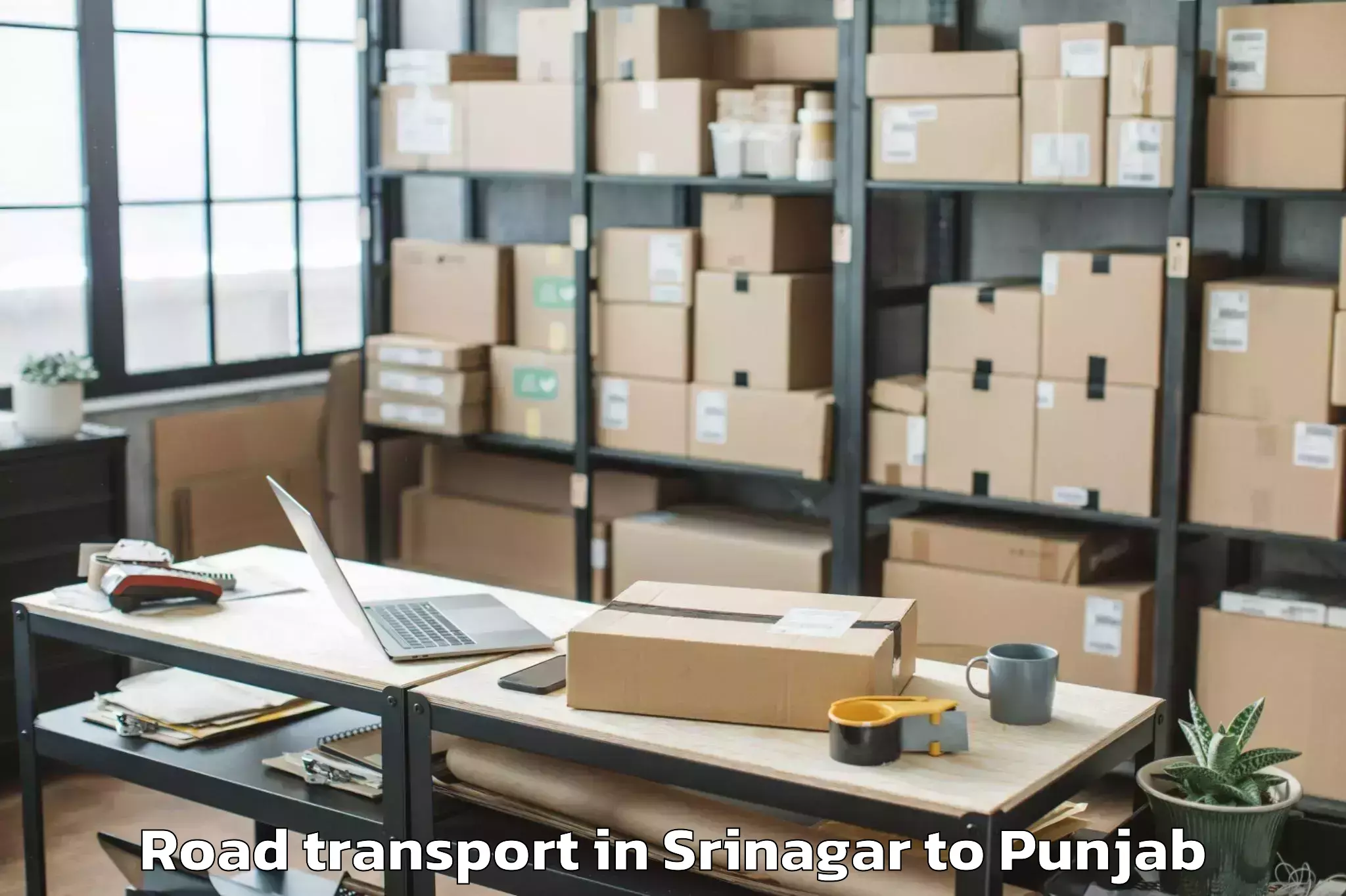 Reliable Srinagar to Punjabi University Patiala Pat Road Transport